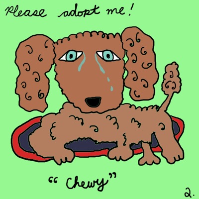 Please Adopt Me #2 Chewy