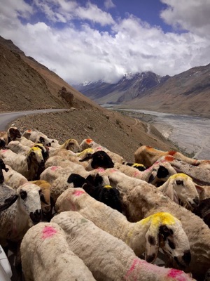 Spiti SP1
