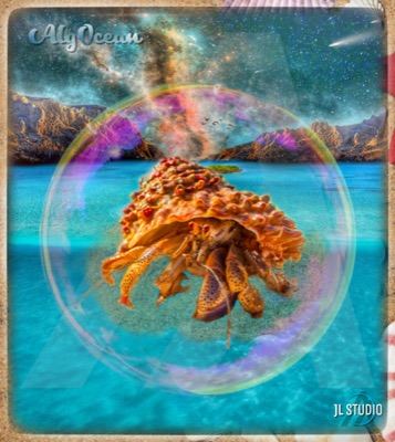 AlgOcean_HermitCrab