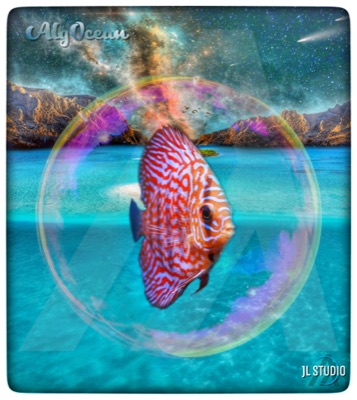 AlgOcean_Discus