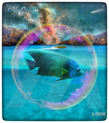 AlgOcean_Angelfish_Blue