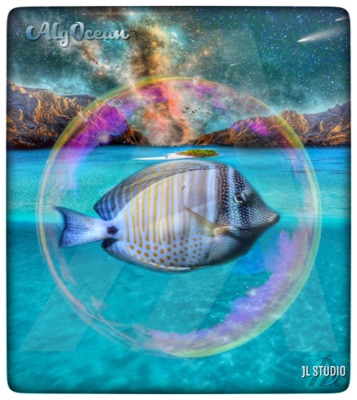 AlgOcean_Tang_Sailfin