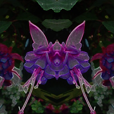 Flower Man 02