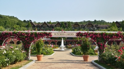 Explore Korea - Everland#3