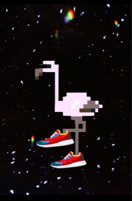 The Flamingo with Sneakers