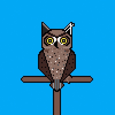 AlgoOwl Original #002