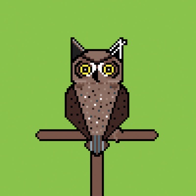AlgoOwl Original #003