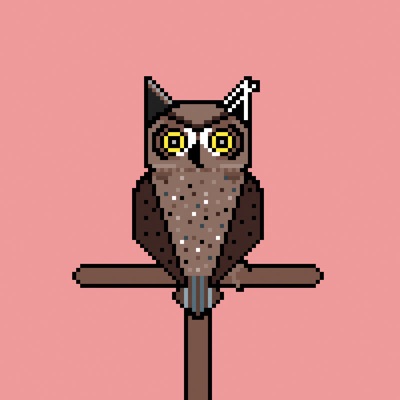 AlgoOwl Original #004
