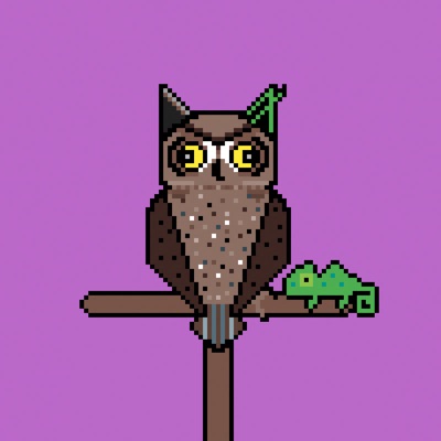 AlgoOwl Uncommon #008