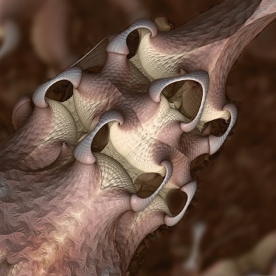 SHROOM NETWORK