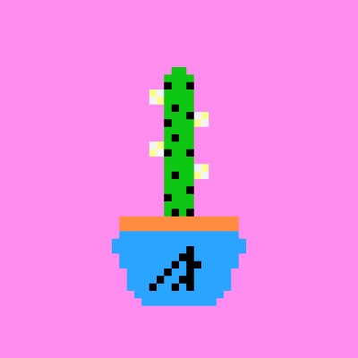 Rare Blooming Cactus