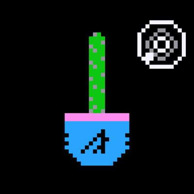 Uber Rare Midnight Opul Cactus