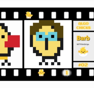 ALGO CHICKS #02