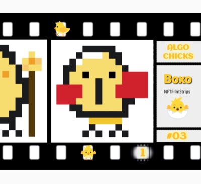 ALGO CHICKS #03