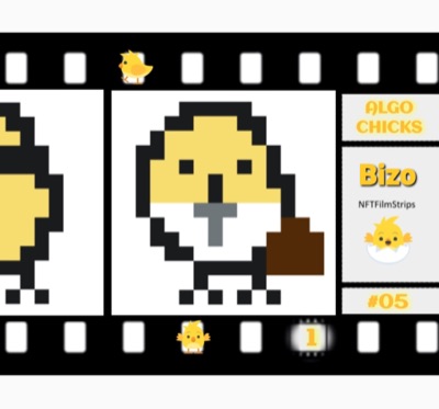 ALGO CHICKS #05