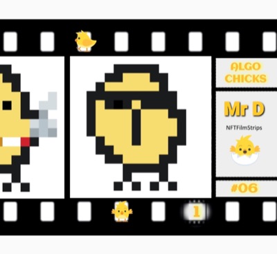 ALGO CHICKS #06