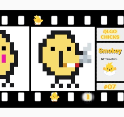 ALGO CHICKS #07