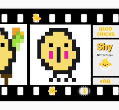 ALGO CHICKS #08