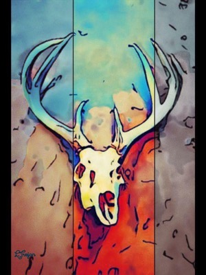 Skull Series #2