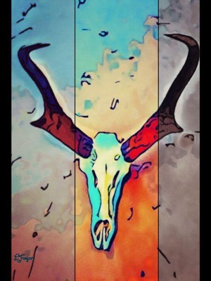 Skull Series #3