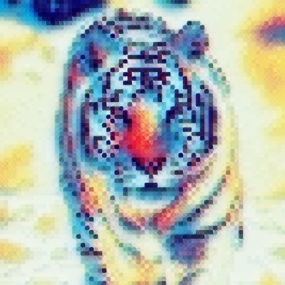 Tiger in writing