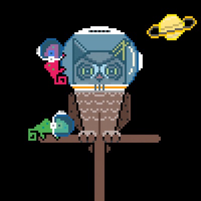 AlgoOwl Rare #006