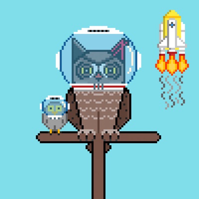 AlgoOwl Rare #007