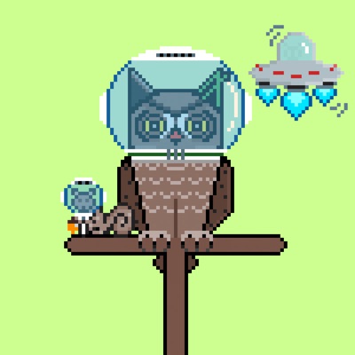 AlgoOwl Rare #008