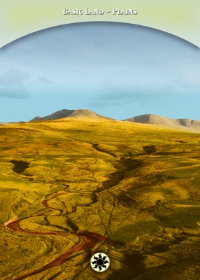 MTG Basic Plains 1