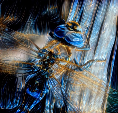 The Monsters #01 - Dragonfly I