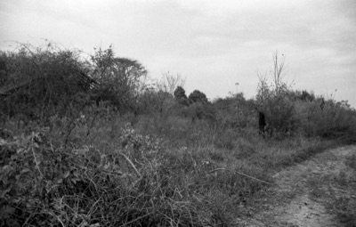 Lost Farm #2