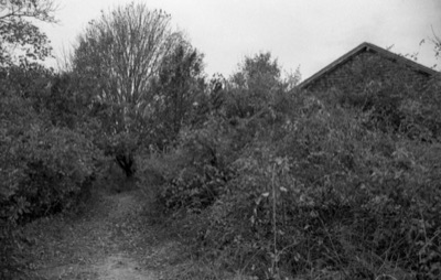 Lost Farm #3