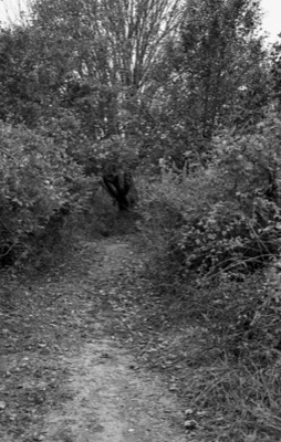 Lost Farm #4