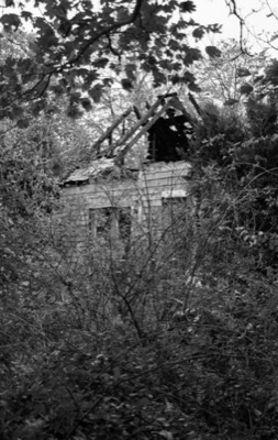 Lost Farm #5