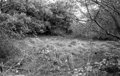Lost Farm #7