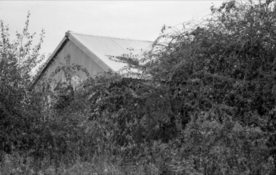 Lost Farm #8