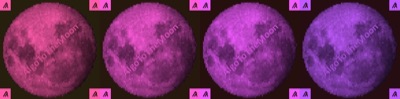 AlgoMoon#4