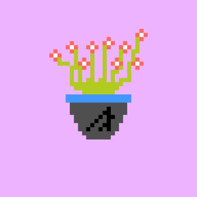 Desert Wildflower