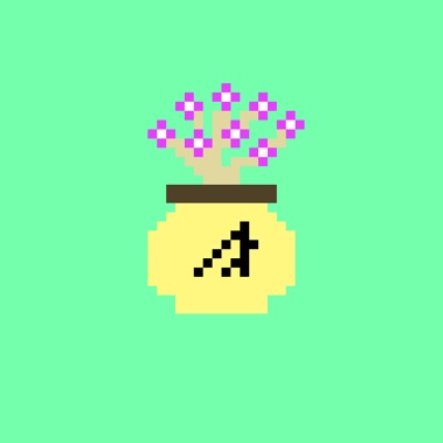 Desert Wildflower 4