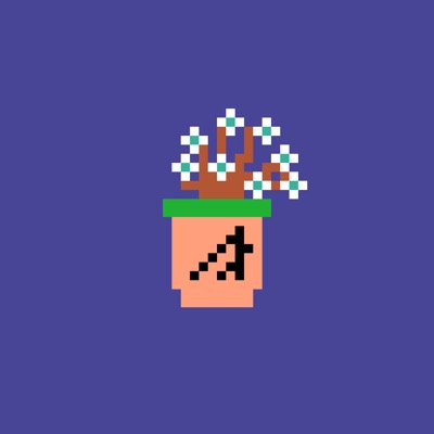 Desert Wildflower 5