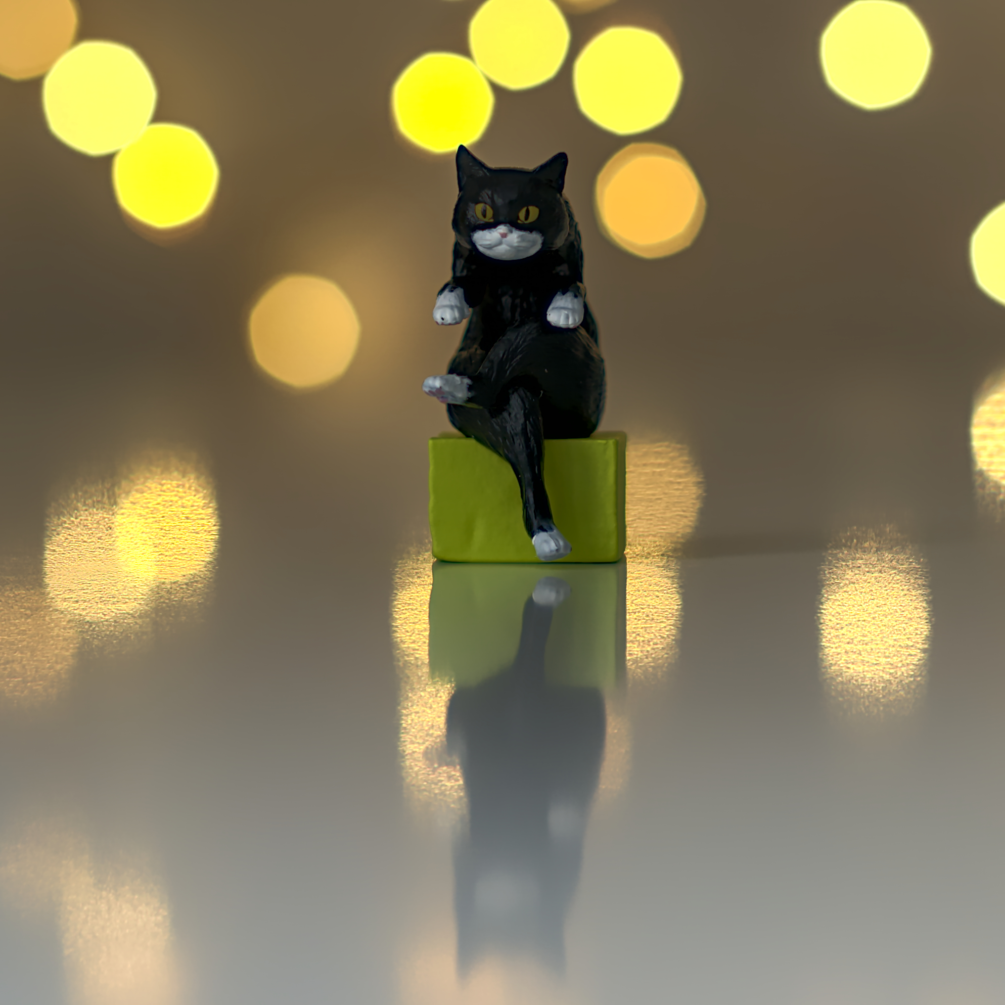 Socks Cat Sitting