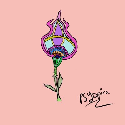 TulipSpace🌷1/1