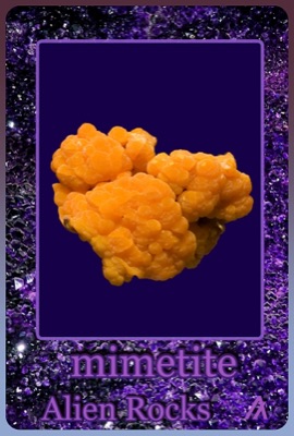 AR #16
