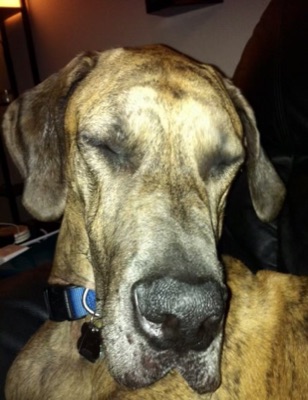 Mister Baxter