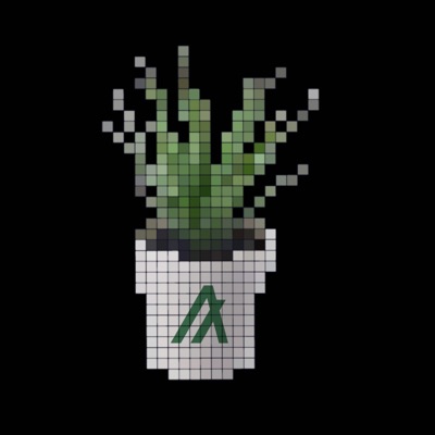 Algo Pot #1