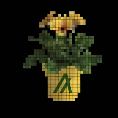 Algo Pot #2