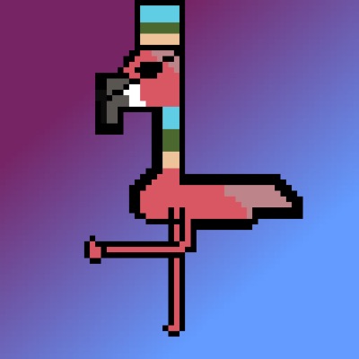 AlgoFlamingo#3