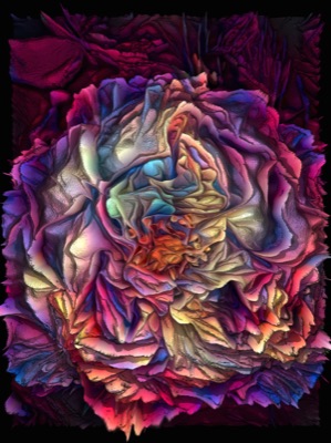 Ambrosia 12
