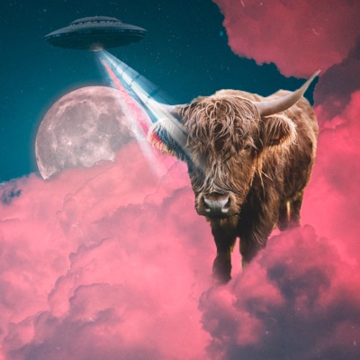 TO THE MOOON #2