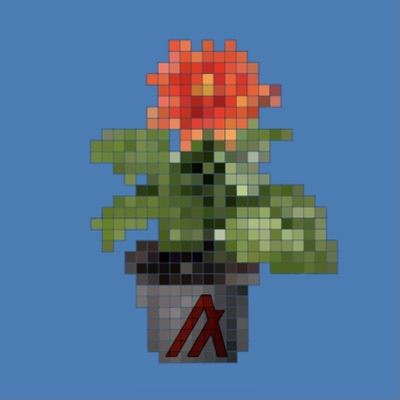 Algo Pot #4